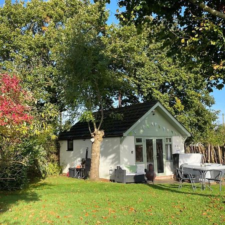 Pheasant Lodge Wimborne Minster Eksteriør billede