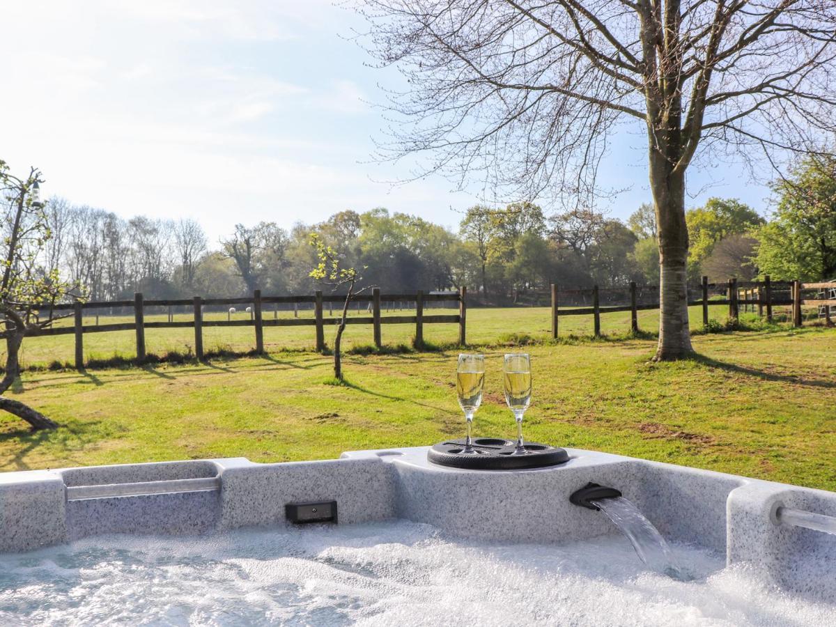 Pheasant Lodge Wimborne Minster Eksteriør billede