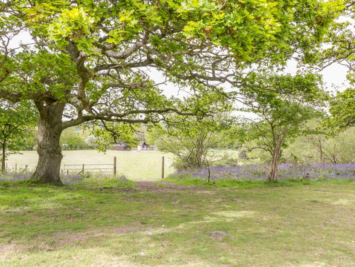 Pheasant Lodge Wimborne Minster Eksteriør billede